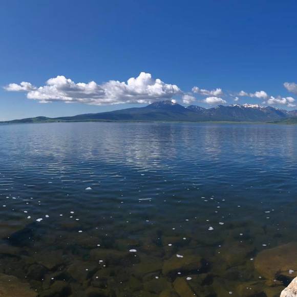 Michael Farinelli - Poshmark Profile Picture of Michael Farinelli (@farinellimike) on Poshmark