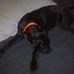 Profile Picture of Michael Scapin (@michael.scapin.73) on Facebook