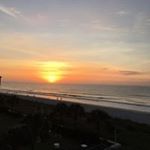 Profile Picture of Lisa Dicenzo (@lisadicenzo) on Instagram