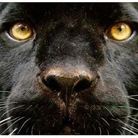 Profile Picture of Joshua Massie (@joshua-massie-4) on Quora