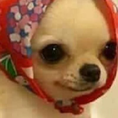 Profile Picture of Isabella Rodriguez (@Isabelllaaa_r) on Twitter