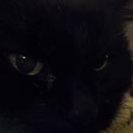 Profile Picture of Debbie Stockero West (@dlwlola) on Instagram