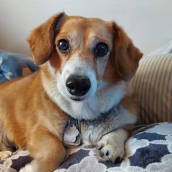 Profile Picture of Penny Campbell (@pennycampbel872) on Poshmark