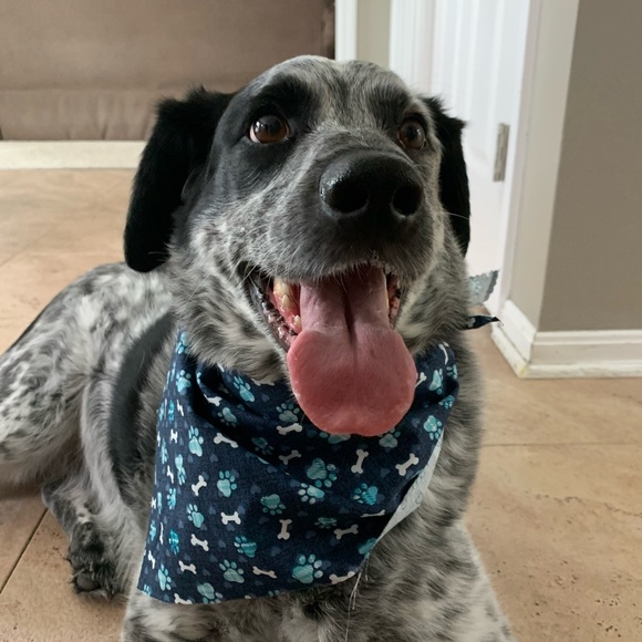 Profile Picture of Amelia Benick (@abeni24) on Poshmark