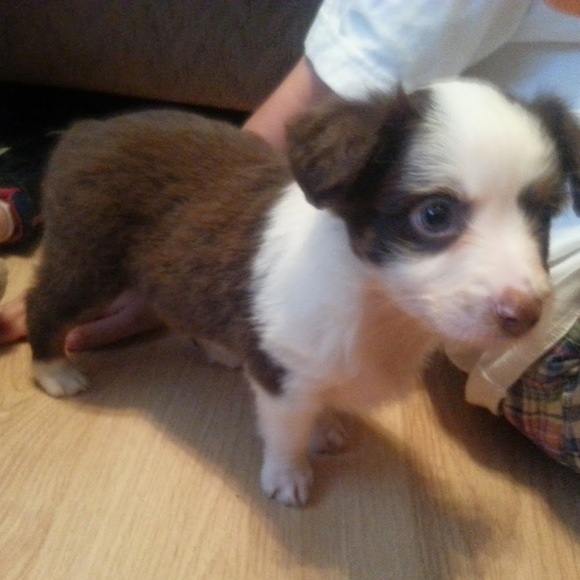 Profile Picture of Jennifer Fryns (@jenniferfryns) on Poshmark