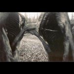 Profile Picture of Andy  Bartels (@charo_nerky) on Instagram