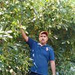 Profile Picture of Gregorio Zamudio (@gregorio.zamudio.712) on Instagram
