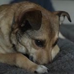 Profile Picture of James Zyskowski (@jameszyskowski) on Instagram