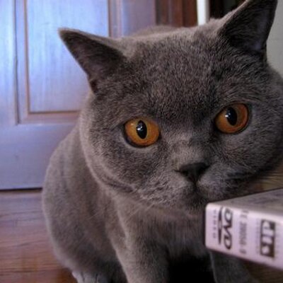 Profile Picture of Jeff Lorber Fansite (@JL_fansite) on Twitter