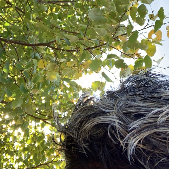 Profile Picture of Rivaldo Jovel (@rivaldojovel) on Poshmark