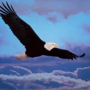 Profile Picture of Roxanne Homman. Hayes (@roxiswings) on Myspace