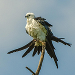 Profile Picture of Jerry's Wild Life (@jerry's wild life) on Flickr