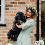 Profile Picture of Hannah the Human & Baxter the Spaniel (@athomewithbaxter) on Instagram