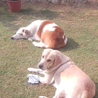 Profile Picture of Ananda Chatterjee (@ananda.chatterjee2) on Facebook