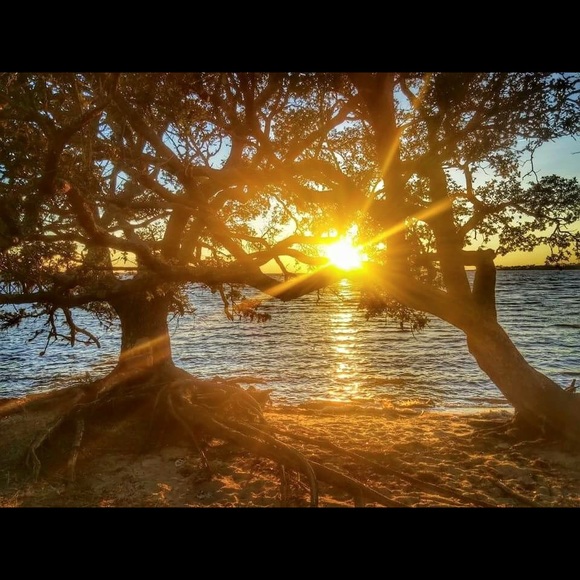 Profile Picture of Traci Sottile (@sottile6) on Poshmark