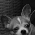 Profile Picture of Scott Cada (@Scott-Cada) on Facebook