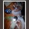 Profile Picture of Jr Wilks (@Jr-Wilks) on Facebook