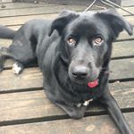 Profile Picture of Ginny 