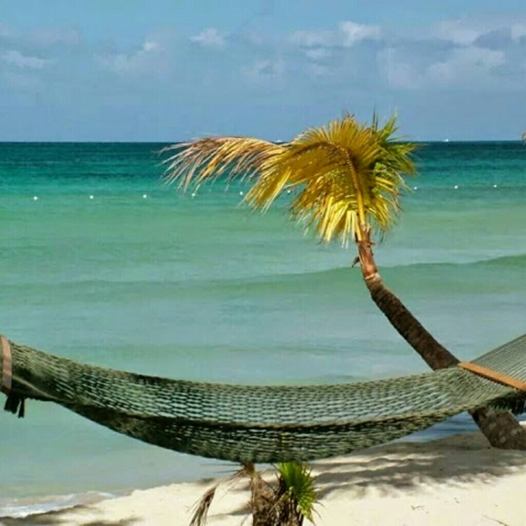 Profile Picture of Daniel Purnell (@danpure3) on Poshmark