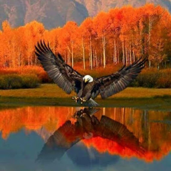 Profile Picture of Quoc Tran (@tqkhanh0511) on Poshmark