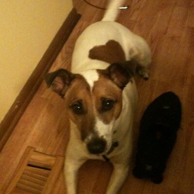 Profile Picture of Dan Kellner (@DKellner97) on Twitter
