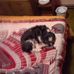 Profile Picture of Mark Burkholder (@mark.burkholder.507) on Facebook