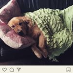Profile Picture of Albert Allison (@albert.allison77) on Instagram