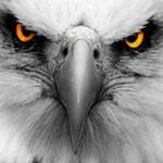 Profile Picture of David Whitesel (@david.whitesel.165) on Instagram