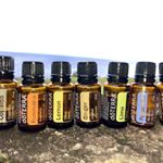 Profile Picture of Dr. Lisa Profera (@youressentialoilsdoctor) on Instagram