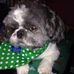 Profile Picture of Sherry Paschall (@sherry.paschall.9) on Facebook