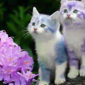 Profile Picture of Jack Nimbuz (@jack.nimbuz) on Facebook