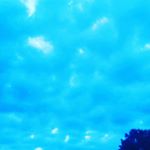 Profile Picture of Kenneth Bates (@kenneths.spamm) on Instagram