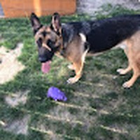 Profile Picture of Joseph Linde (@joseph-linde) on Quora