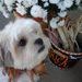 Profile Picture of Kathy Keen (@kathykeen) on Pinterest