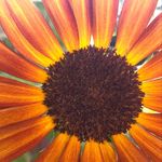 Profile Picture of Tami Russell (@tamirussell8013) on Instagram