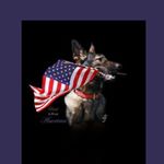 Sonja Brooks - Instagram Profile Picture of Sonja Brooks (@sonja.brooks1) on Instagram