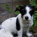 Profile Picture of Mark Kretschmer (@mark.kretschmer.79) on Facebook
