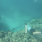 Profile Picture of Erik Spitzer (@boredintokyo) on Instagram