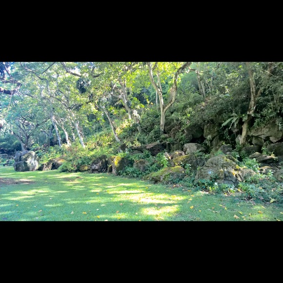 Profile Picture of Lubna Khaleeli (@lkhaleeli) on Poshmark