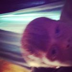 Profile Picture of timothy harold hiers (@timothyharoldhiers) on Instagram