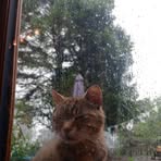 Profile Picture of Frieda Smyth (@Frieda-Smyth) on Facebook