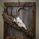 Profile Picture of Chad Rye (@chad.rye.1) on Instagram