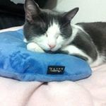 Profile Picture of Raquel Freeman (@gummybare2016) on Instagram