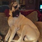 Profile Picture of Patti Schroeder (@patti.schroeder.79) on Instagram