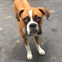 Profile Picture of Brett Scholl (@brett-scholl) on Quora