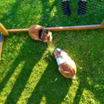 Profile Picture of Conner Holtermann (@conner10.08) on Instagram