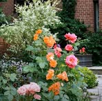 Profile Picture of Harmony Perry (@Harmony-Perry) on Facebook