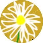 Profile Picture of Maria Toscano (@maria.toscano.coachpnl) on Instagram
