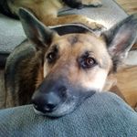 Profile Picture of Kris Wittman (@kriswittman) on Instagram