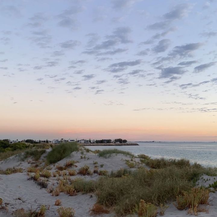 Profile Picture of Ava (@ava.ritchie) on Tiktok